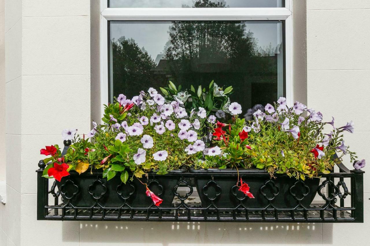 Cyprus View Apartment Belfast Exteriér fotografie